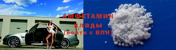 шишки Богородицк